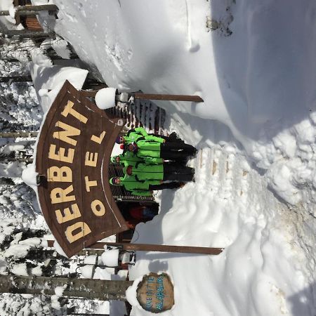 Ilgaz Derbent Hotel Buitenkant foto