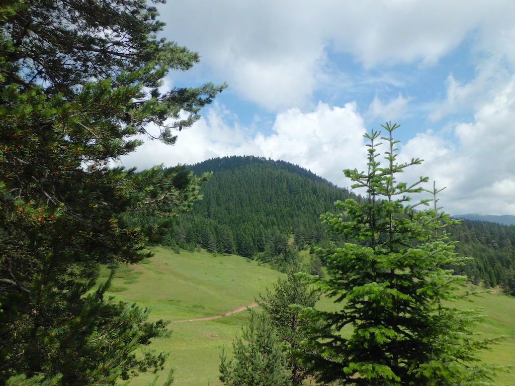 Ilgaz Derbent Hotel Buitenkant foto